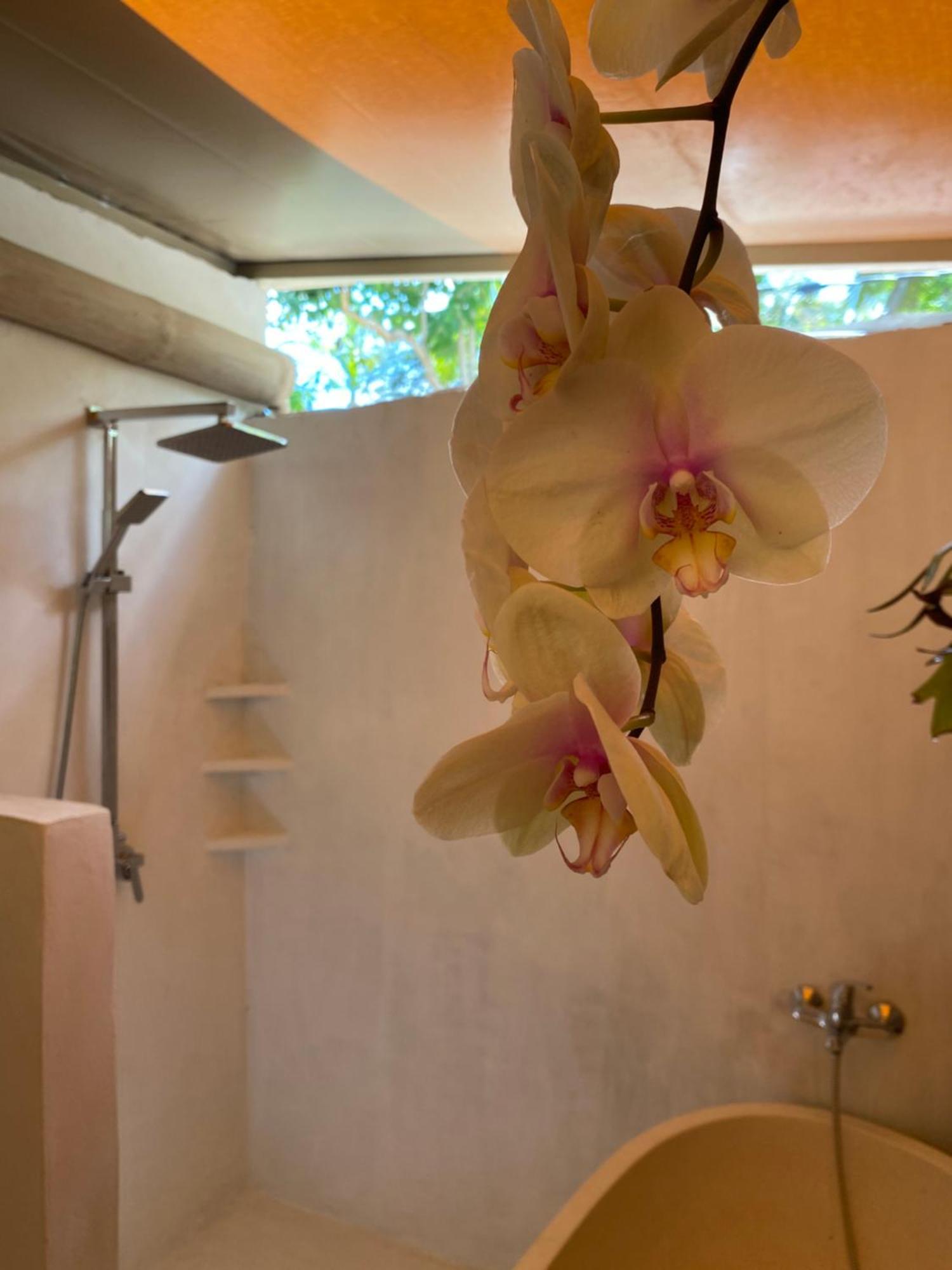 מלון Toyapakeh Exotic Private Glamping מראה חיצוני תמונה